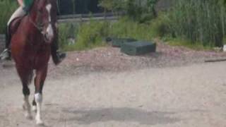 guess whos BACK? [UPDATES]