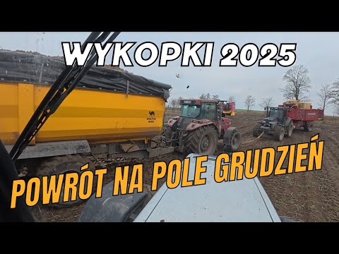 Wracamy na pole dokończyć wykopki. Grudzień 2025. Pierwszy raz o tej porze.
