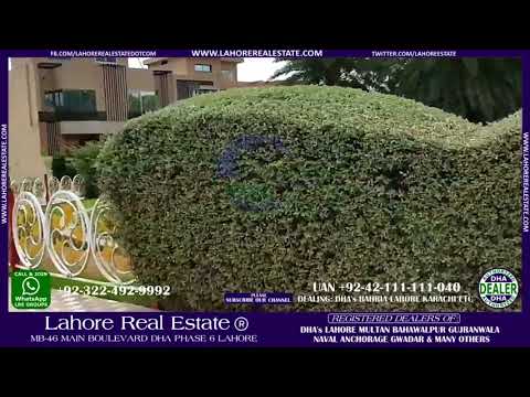 Palm City Lahore Installment Plan, Plot Prices, Development Videos and Location Map | Lahore Real Estate