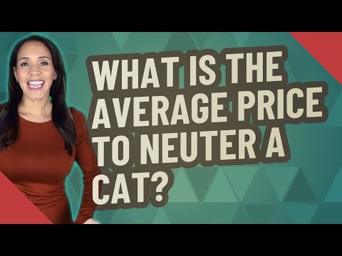 What is the average price to neuter a cat?