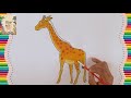 How To Draw A Giraffe African Animals ABC