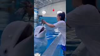 Miniature vidéo