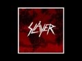 Slayer - Human Strain