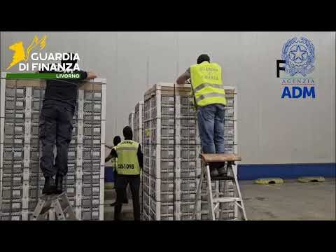 L'operazione di Finanza e Adm al porto di Livorno