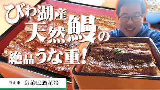 【湖国のグルメ】良菜民酒 花螢【滋賀の旬を味わう創作和食料理店】