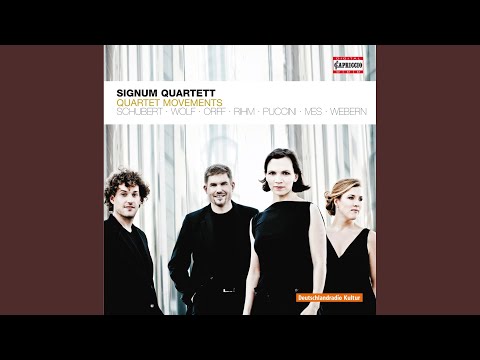 String Quartet No. 12 in C Minor, D. 703, "Quartettsatz"