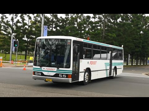 Forest Coach Lines M/O 9227 - Mercedes Benz O405 Custom Coaches 510