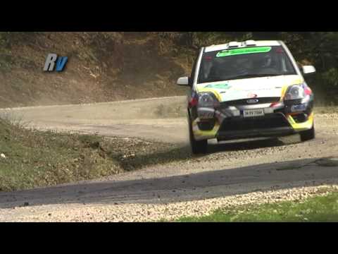 2011 Yeşil Bursa Rallisi / Simin Bıçakçıoğlu - Afşin Baydar / Ford Fiesta ST