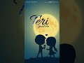 Soniye Hiriye Teri Yaad Aandi Hai WhatsApp Status