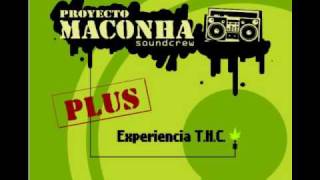 Proyecto Maconha 