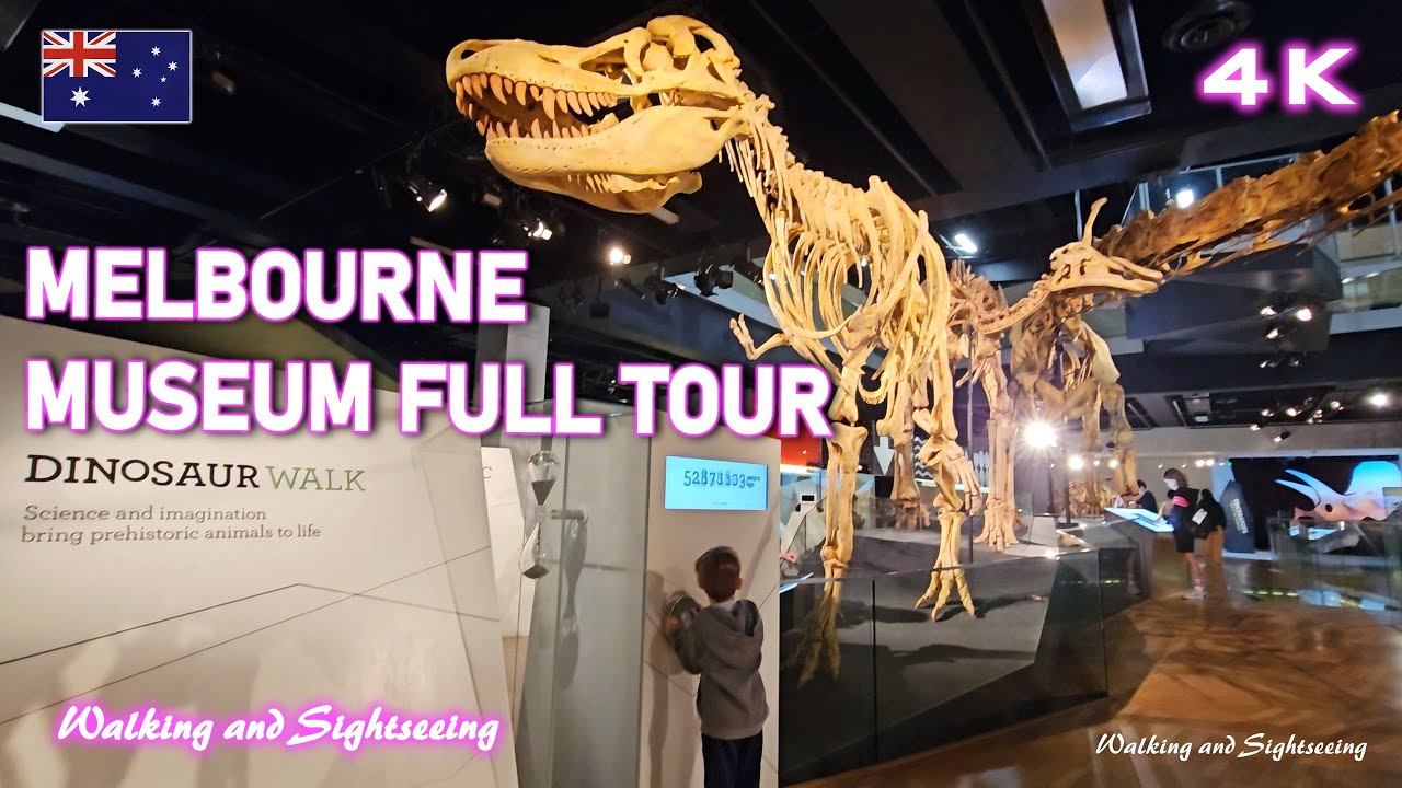 Experience an immersive virtual stroll through Melbourne Museum.
