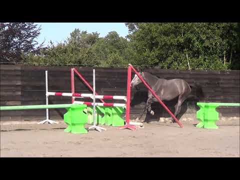 Cherry - A Z (Clarimo)