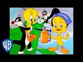 Looney Tunes | Best of Tweety Bird and Sylvester | Classic Cartoon Compilation | WB Kids