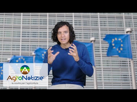 Prosecco-Prošek: facciamo chiarezza