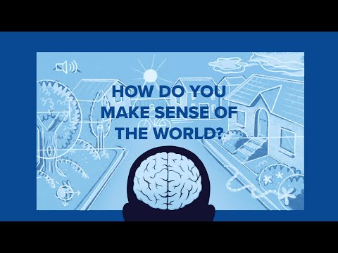 How Do You Make Sense of the World?