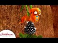 Decorating The Conifer Tree Dinosaur Train The Jim Henson Company