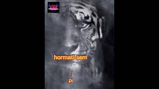 Download lagu story wa macan putih. sama sama makan nasi. #shorts #khodammacan #khodamleluhur mp3