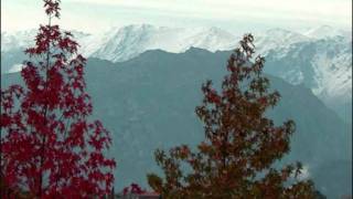 FLANS Y TU VES (OVIEDO)