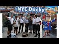 NYC Ducks 2008 Duckboat Tour