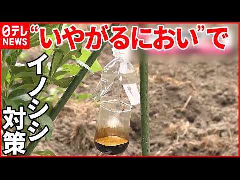 木の根による被害とその回避方法 トピックス