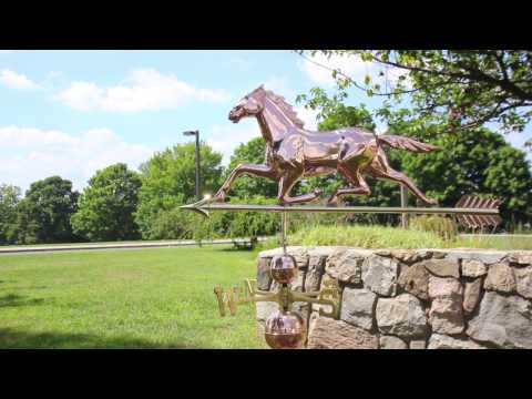 Good Directions 958P Smithsonian Horse Weathervane