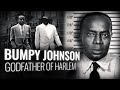 The Story Of The Real Godfather Of Harlem BUMPY JOHNSON