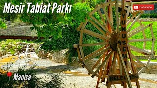 Manisa Mesir Tabiat Parkı | Manisa Kent (Şehir) Ormanı | Manisa'da Gez