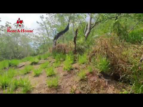 Imagen de Venta de Lotes y Terrenos en Espíritu santo - Esparza Espíritu Santo - PUNTARENAS