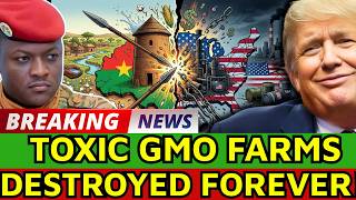 The $5B Chemical Defiance: How Africa Banned Toxic GMO Farming