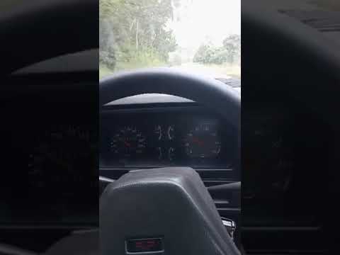 Minas gerais novo cruzeiro só a tocha