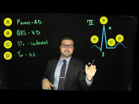 Cardiac cycle basics | The EKG Guy - www.ekgguy.com
