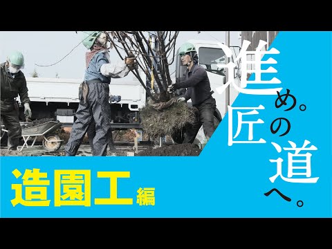 造園と近代建築の完璧な共生  庭園