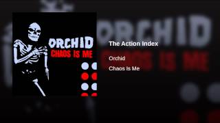 The Action Index
