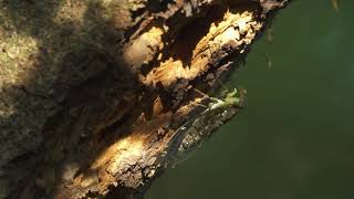 Re: [問卦] 台北哪裡最好玩？