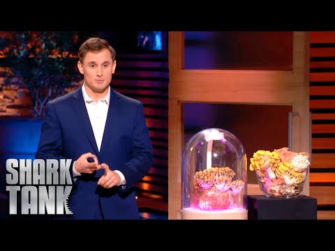 terrashroom Shark Tank Pitch