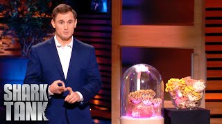 Shark Tank US | Modern Mushroom Innovation Causes Arguments in the Tank