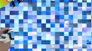 Giorgio Tuma "And three parasol stars"