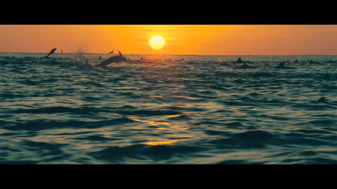DisneyNature: Oceans - Trailer facade placeholder