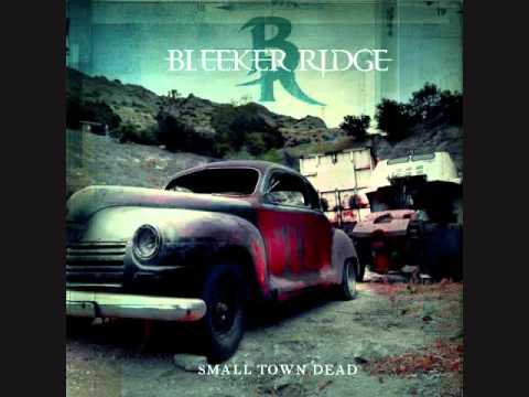 Bleeker Ridge - From Now On
