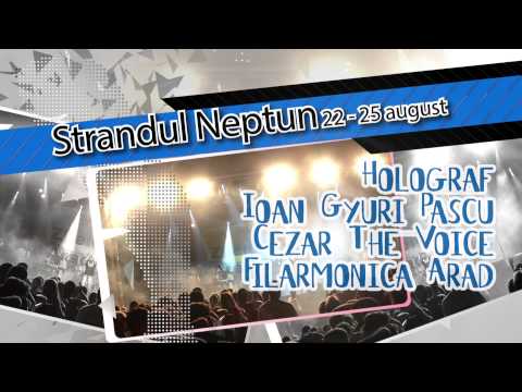 Zilele Aradului 2013