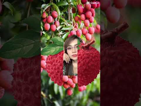 Lychee fruit#trending #viralvideo #shortvideo #shorts #funny #asmr #tiktok