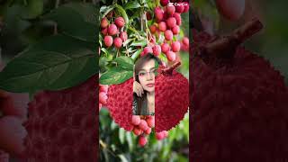 Download lagu Lychee fruit#trending #viralvideo #shortvideo #shorts #funny #asmr #tiktok mp3 Download lagu Lychee fruit#trending #viralvideo #shortvideo #shorts #funny #asmr #tiktok mp3