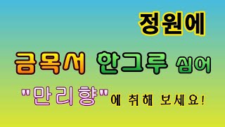 [텃밭농부.785]  정원에 이 나무 한그루 심지 않을래요? #전원생활