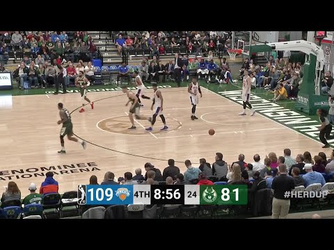 D.J. Wilson (19 points) Highlights vs. Westchester Knicks