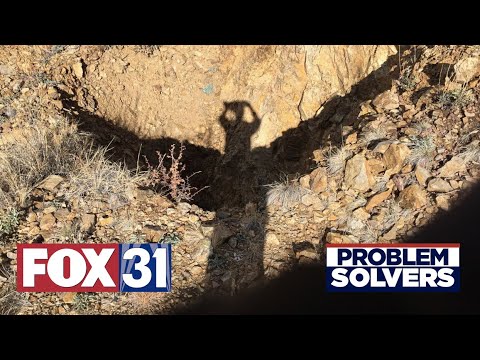 download lagu mp3 mp4 Fox 31 Live, download lagu Fox 31 Live gratis, unduh video klip Fox 31 Live