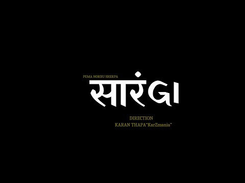 Gallery video 5