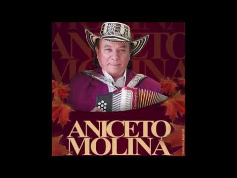 CUMBIA MIX ANICETO MILONA