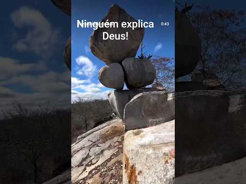 #uaua #bahia #pets #anime #deus