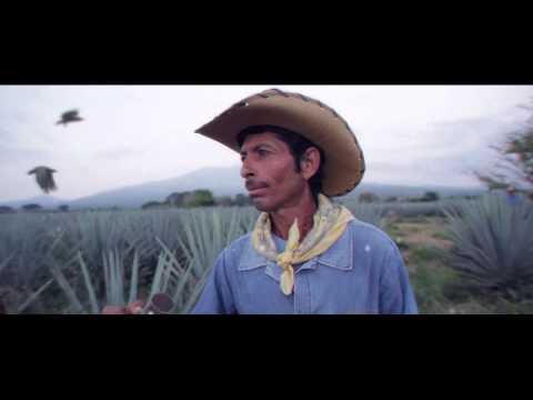 Become a Don – Jose Cuervo Dons of Tequila