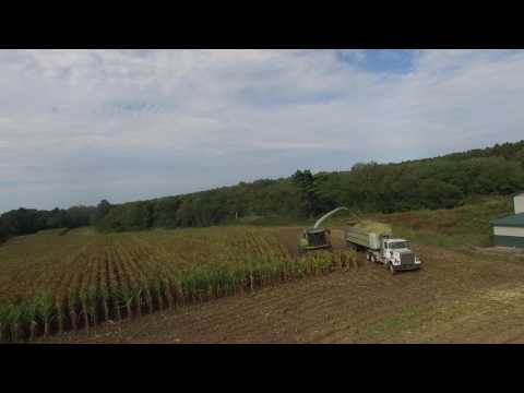 download lagu mp3 mp4 Milky Way Sweet Corn, download lagu Milky Way Sweet Corn gratis, unduh video klip Milky Way Sweet Corn